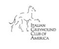 Coccolare Italian Greyhounds